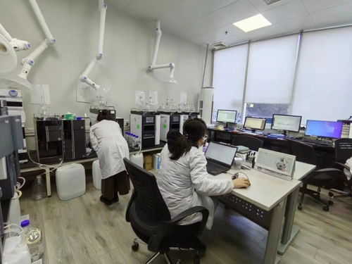 全市首批专精特新服务站试点落地昌平，助力新材料技术推广服务