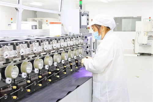 整合科创资源抢占新兴赛道 遂宁新质生产力蓄势而行
